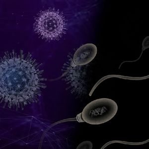 Badacze sprawdzili jakość spermy u zaszczepionych przeciwko COVID-19. Znamy wyniki badania