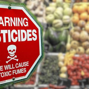 „Brudna dwunastka” 2021. Znamy tegoroczną listę owoców i warzyw, które mają najwięcej pestycydów
