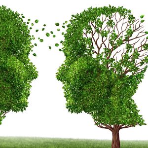 Zwróć uwagę na te 3 czynniki i zapobiegnij demencji oraz Alzheimerowi