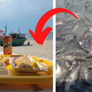 Ryba, której lepiej unikać w nadmorskich restauracjach. Jest pełna antybiotyków i zanieczyszczeń