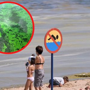 Sinice atakują polskie morze! Sanepid zamyka plaże, a urlopowicze obawiają się o swoje zdrowie