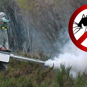 Opryski na komary – czy są bezpieczne dla zdrowia człowiek i środowiska?