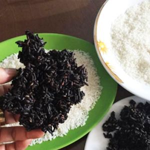 4 skuteczne sposoby, aby dowiedzieć się czy ryż, który masz w domu nie zawiera plastiku