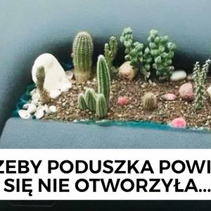 20 dziwnych pomysłów, które niestety ktoś zrealizował. Dziwacy czy geniusze?