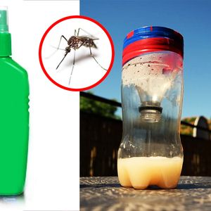 Środki na komary – sprawdziliśmy, których lepiej nie używać