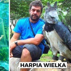20 imponujących zdjęć udowadniających, że rozmiar i wielkość mają znaczenie. Obłędne porównania