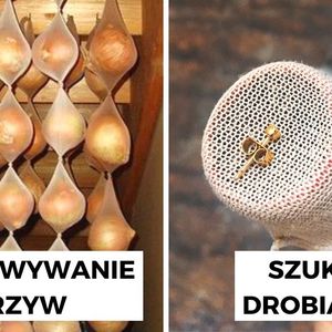 Co zrobić z podartymi rajstopami? 9 nietypowych pomysłów na wykorzystanie tej części garderoby