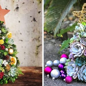 15 uroczych sukulentowych choinek, które z powodzeniem zastąpią tradycyjne świąteczne drzewko