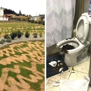 23 osoby, które przeżyły małe domowe katastrofy. Złośliwość rzeczy martwych