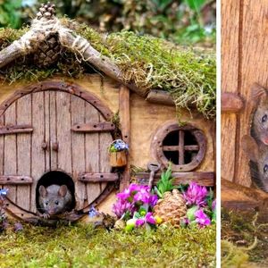 Brytyjczyk zaprzyjaźnił się z myszami i zbudował dla nich domki rodem z wioski Hobbitów