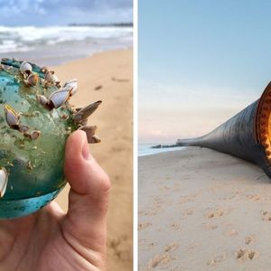 19 dziwnych rzeczy, które ludzie znaleźli na plaży. Mniej i bardziej zagadkowe skarby na piasku