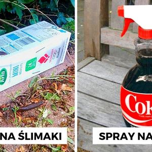 13 ogrodowych trików, które uczynią z Ciebie prawdziwego mistrza swoich grządek i rabatek