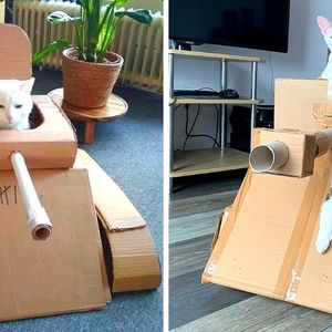Tajemnica rozwiązana! 5 powodów dlaczego koty upodobały sobie kartonowe pudełka