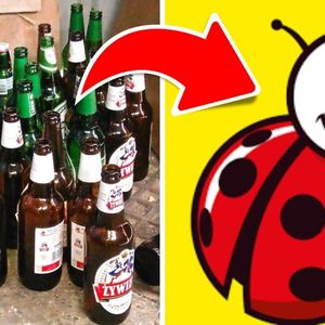 W sieci sklepów Biedronka oddasz szklane butelki zwrotne i otrzymasz za nie zwrot kaucji