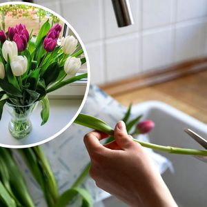 Ten trik sprawi, że nawet padnięte tulipany odżyją. Lepsze niż odżywka!