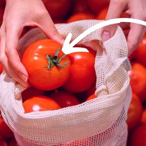 jak wybrać smacznego pomidora