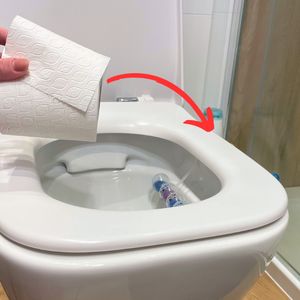 jak wyczyścić wc w kilka minut