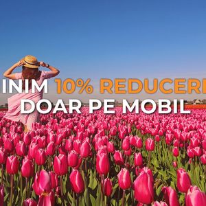 Descarcă aplicația » »