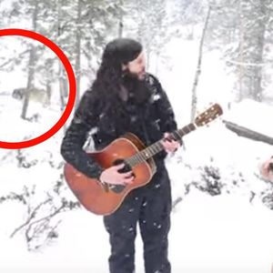 2 mężczyzn zaczęło grać i śpiewać w środku lasu. Ale spójrz, co wyłania się zza nich w 0:22 minucie!