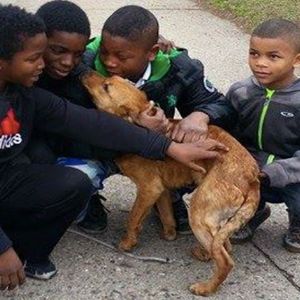 Czwórka chłopców rzuca wszystko, aby pomóc samotnemu psu przywiązanemu do płotu w pustym domu