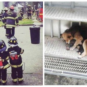 Strażacy ratują całą rodzinę z pożaru, ale kiedy wracają do wozu, zauważają w nim drżącego psa