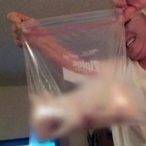 Matka włożyła 8-tygodniowe szczenię do plastikowej torby, po czym zamknęła go w zamrażarce