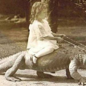 Szokująca atrakcja turystyczna: Dzieci jeżdżą na aligatorach!