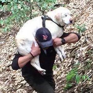 Mężczyzna o wielkim sercu ratuje niewidomego psa, na którego czekała stęskniona rodzina