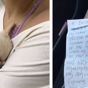 Na lotnisku znaleziono porzuconego psa. Obok niego leżał łamiący serce list