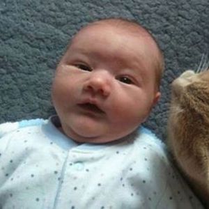 Kiedy nikt nie patrzy kot zbliża się do niemowlaka. Zaskakuje rodziców swoim zachowaniem
