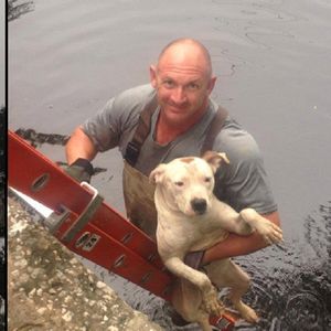 Ratownicy wyciągnęli przerażonego psa z rzeki. Wtedy zauważyli, że zwierzak nie był tam sam