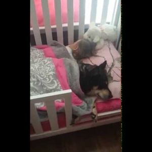Po cichu weszła do pokoju córeczki, aby uchwycić to, jak śpi ze swoim ukochanym psem