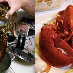 Szwajcaria prawnie zakazała gotowania żywych homarów. To pierwszy taki kraj na świecie