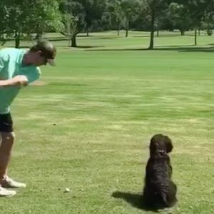 Zabrał swojego psa na golfa. Zachowanie czworonoga rozbawiło wszystkich obecnych