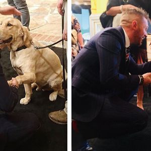 Znany aktor zaprzyjaźnia się z psem ochroniarzem podczas premiery filmu Venom