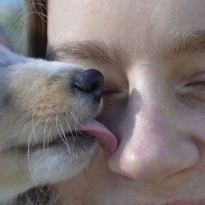 8 dobrych powodów, by pozwalać psu lizać się po twarzy. Są udowodnione przez naukowców!