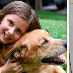 Po śmierci swojego psa dziewczynka napisała list do Boga. W zamian otrzymała piękną odpowiedź