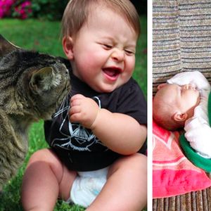 Słodkie zdjęcia kotów i dzieci – oto 30 najbardziej uroczych fotografii