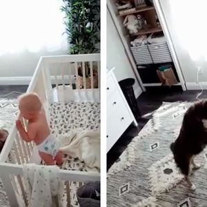 Ten pies i dziecko mają najsłodszy zwyczaj po przebudzeniu się