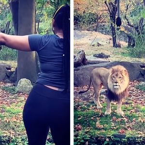 Kobieta przeskakuje płot odzielający ją od lwów w zoo. Staje z nimi oko w oko