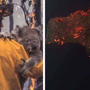 16 przerażających zdjęć pokazujących piekło na ziemi, które ma miejsce w Australii
