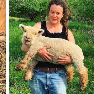 20 malutkich owieczek, które są słodsze niż najbardziej puchate kotki i pieski