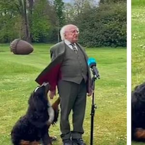 Pies prezydenta Irlandii skrada show podczas udzielanego wywiadu. „No dalej, baw się ze mną!”