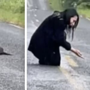 Kobieta zauważa futrzaną kępkę na drodze. Gdy podeszła bliżej, zamarła