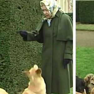 Królowa próbuje przypomnieć sobie imiona swoich ukochanych psów. Wzruszający filmik z 2006 r.