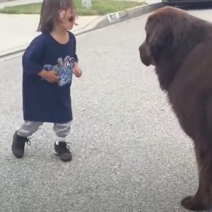 Chłopiec podszedł do gigantycznego psa. To, co zrobił, było niesamowite