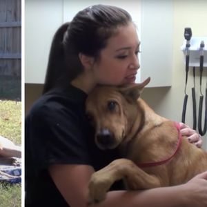 Uratowali psa przed eutanazją! Pies wtulał się w nim bez pamięci, szczęśliwy, że żyje!
