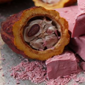 Powstała całkowicie naturalna różowa czekolada! Smak jest równie nietypowy co jej barwa