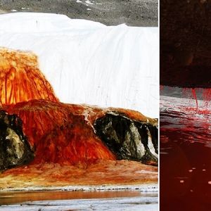 W końcu odkryto zagadkę skrywającą się za krwistoczerwonymi wodospadami na Antarktydzie