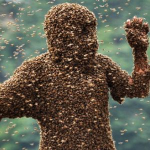 Eksperyment poszedł przeraźliwie źle i przypadkiem stworzono „zabójcze pszczoły”